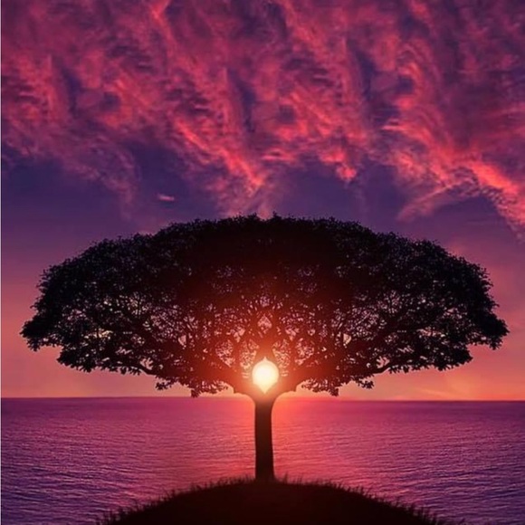 Meet your Posher, Bryan - Picture 2 of 2